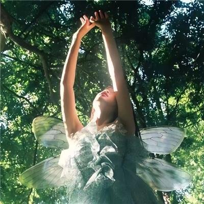 三国志辽阔的大地