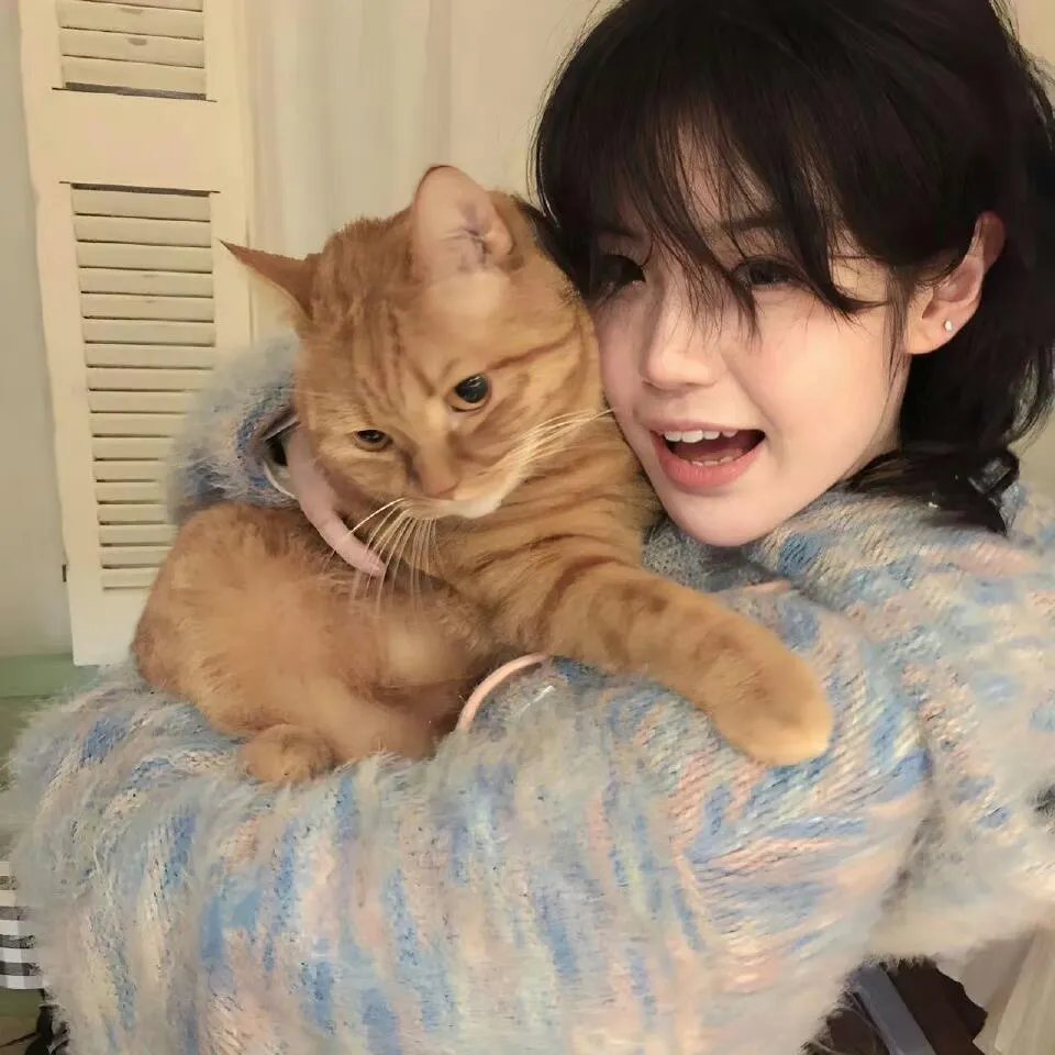 离婚后，陆总跪着求原谅